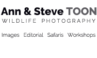 Ann & Steve Toon Wildlife Photography